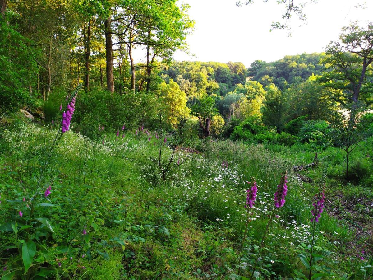 Les Gites Des Beaux Chenes Mortagne-sur-Sevre ภายนอก รูปภาพ