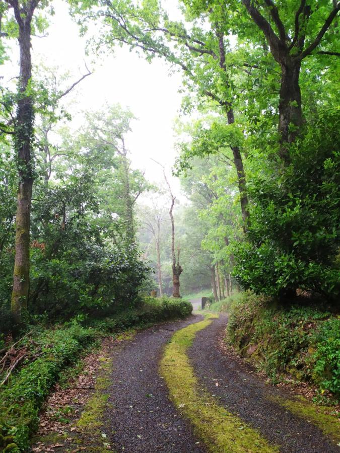 Les Gites Des Beaux Chenes Mortagne-sur-Sevre ภายนอก รูปภาพ
